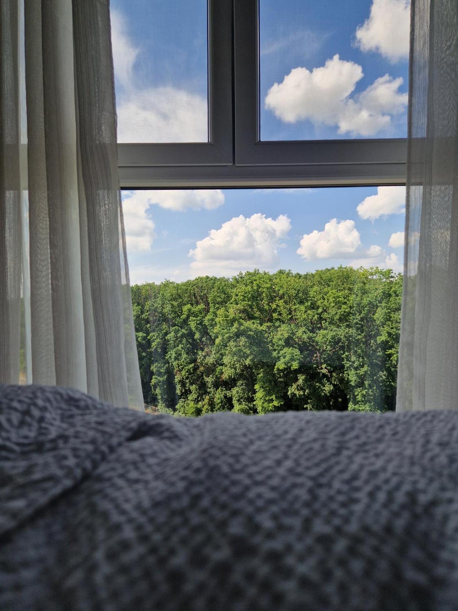 Foresthouse 2 Тимишоара Экстерьер фото
